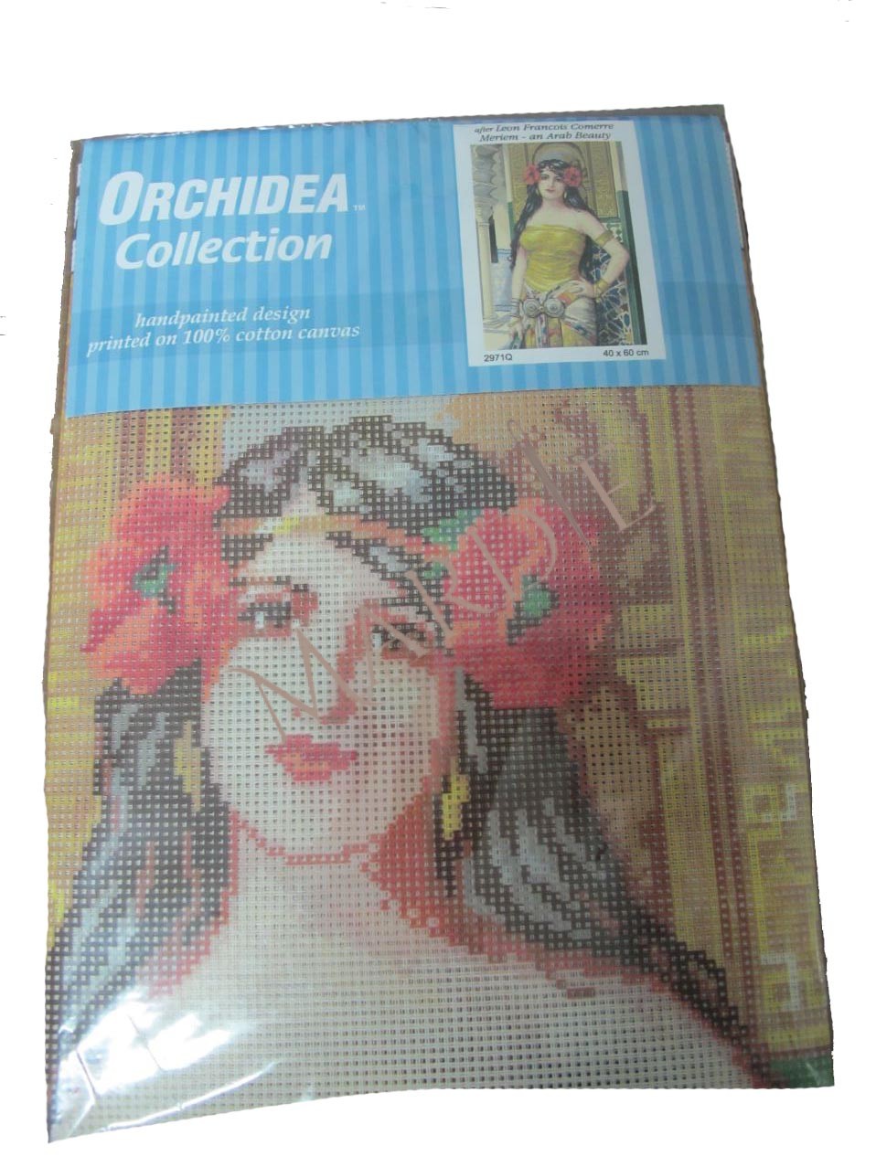 Orchidea πίνακας Leon Francois Comerre Meriem - An arab beauty 2971q